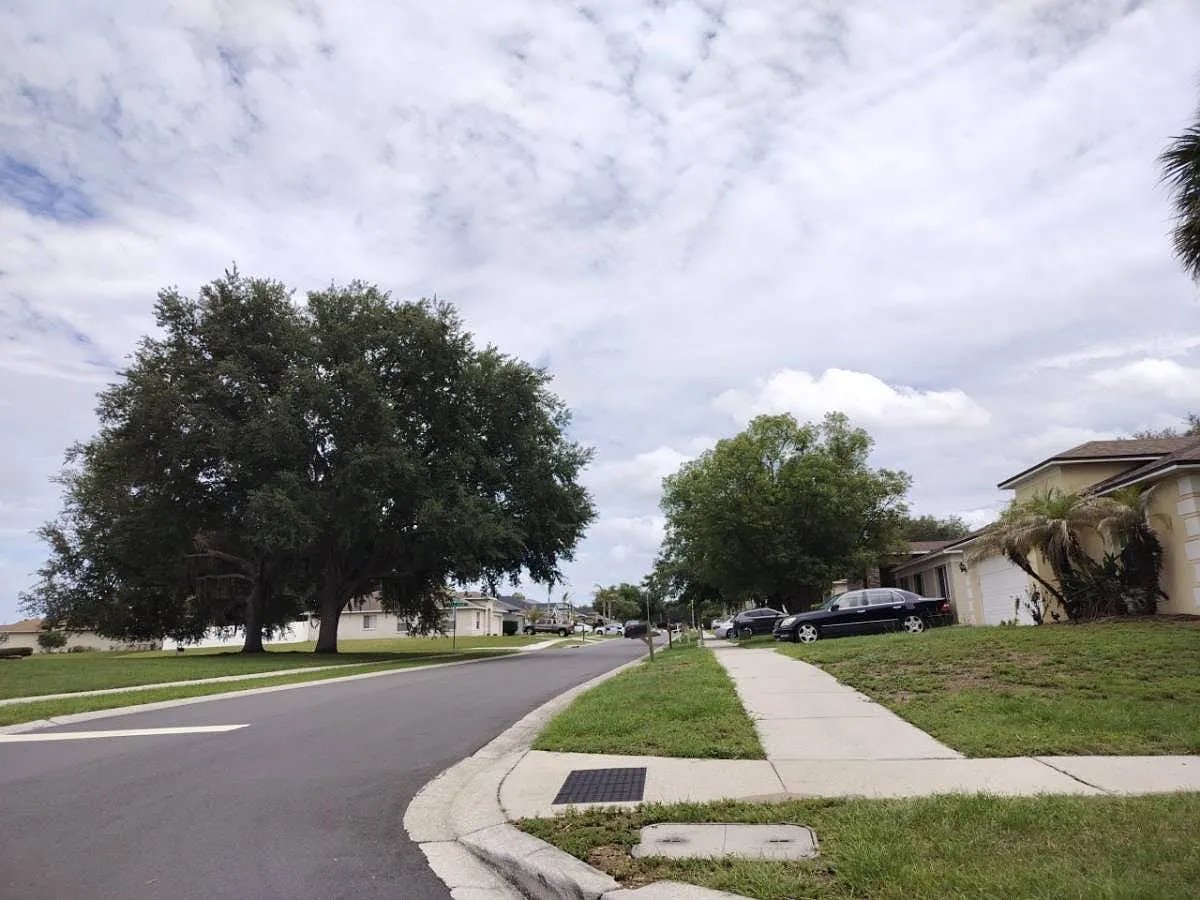319 Abigail Road,Plant City,FL,USA preview