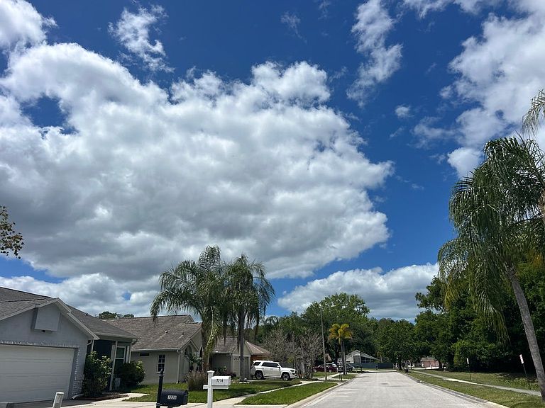 7142 Arboretum Way,New Port Richey,FL,United States preview