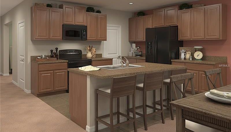 1508 Redmond Brook Lane,Ruskin,FL,United States preview