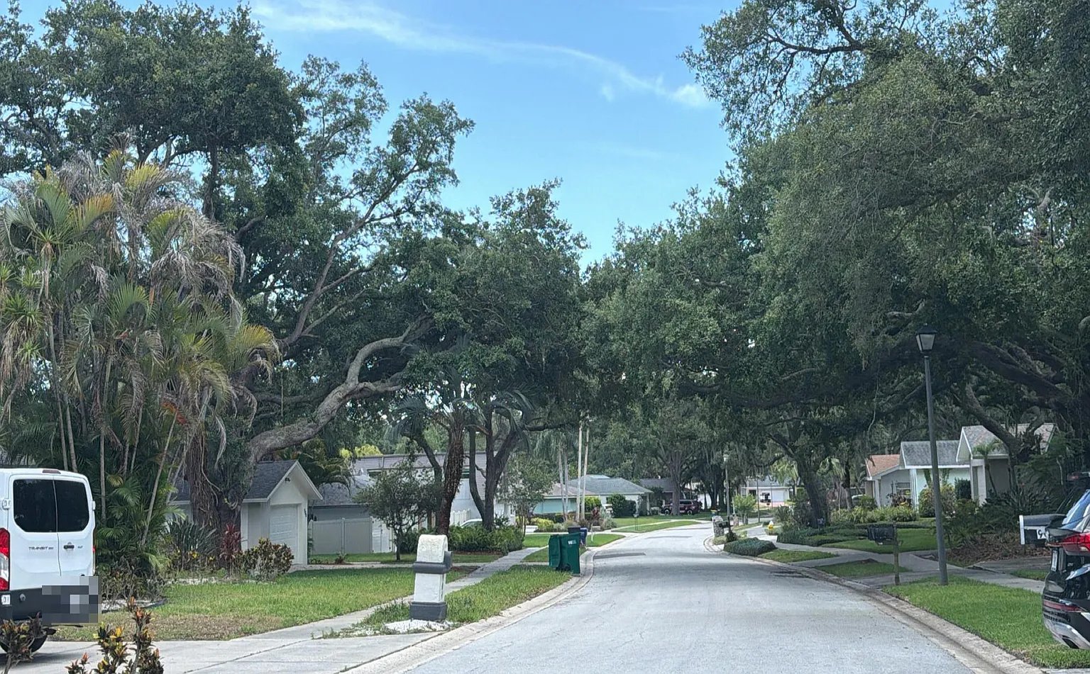904 Highview Drive,Palm Harbor,FL,USA preview