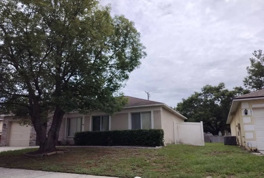 319 Abigail Road,Plant City,FL,USA preview