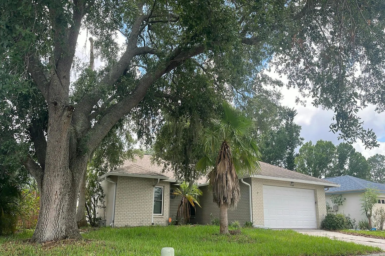 11925 Cedarfield Drive,Riverview,FL,United States preview