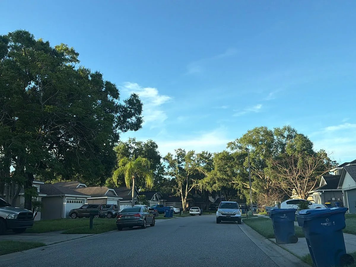 1630 Spinning Wheel Drive,Lutz,FL,United States preview