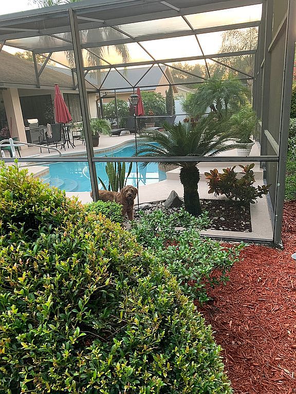 10613 Abingdon Chase,Orlando,FL,United States preview