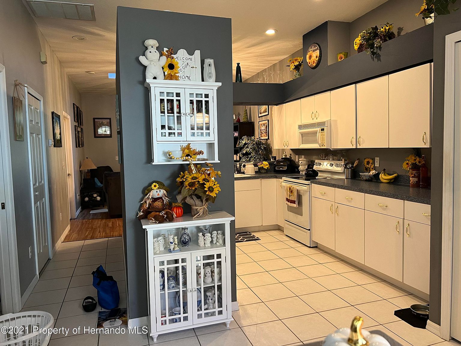 12519 Hollybrook Ln,Hudson,FL,United States preview