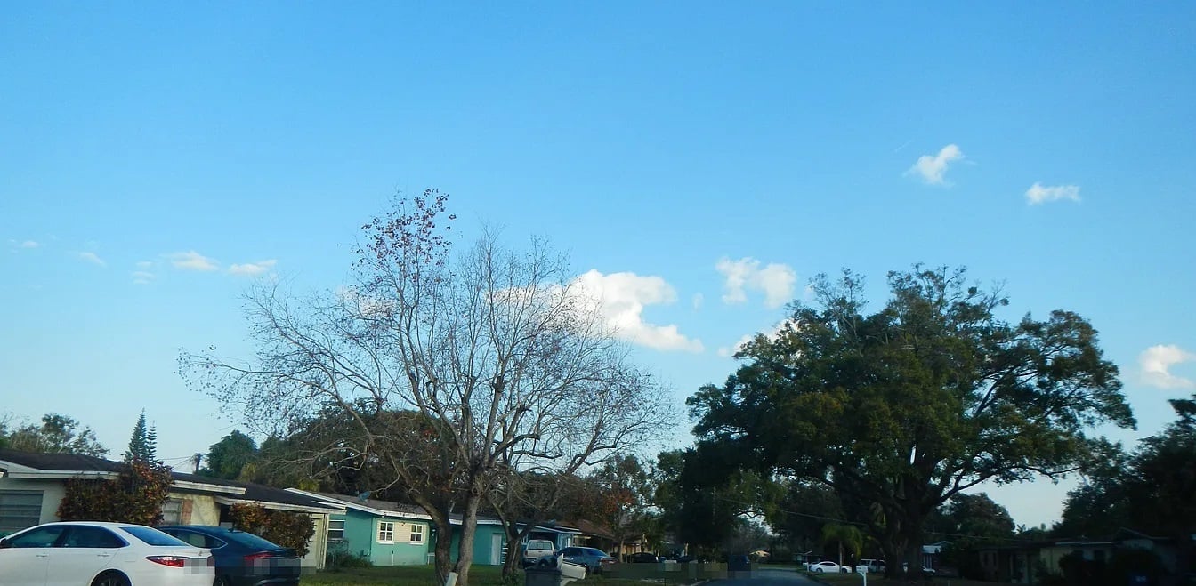 1835 Albert Lee Parkway,Winter Park,FL,United States preview