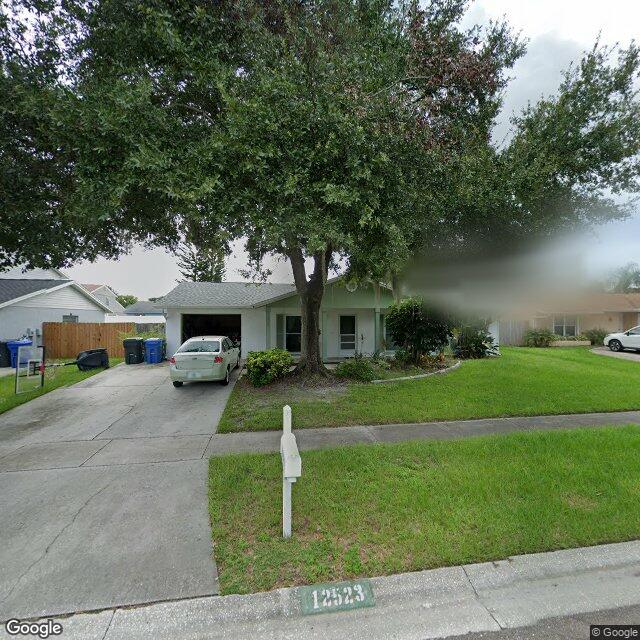 12523 Cardiff Drive,Tampa,FL,United States preview