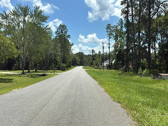 35 Orchid Avenue,Middleburg,FL,United States preview
