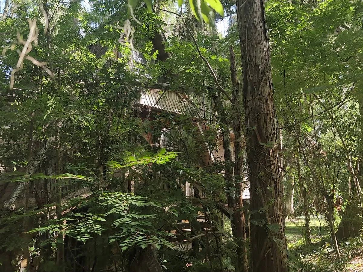 22048 Dupree Drive,Land O' Lakes,FL,United States preview