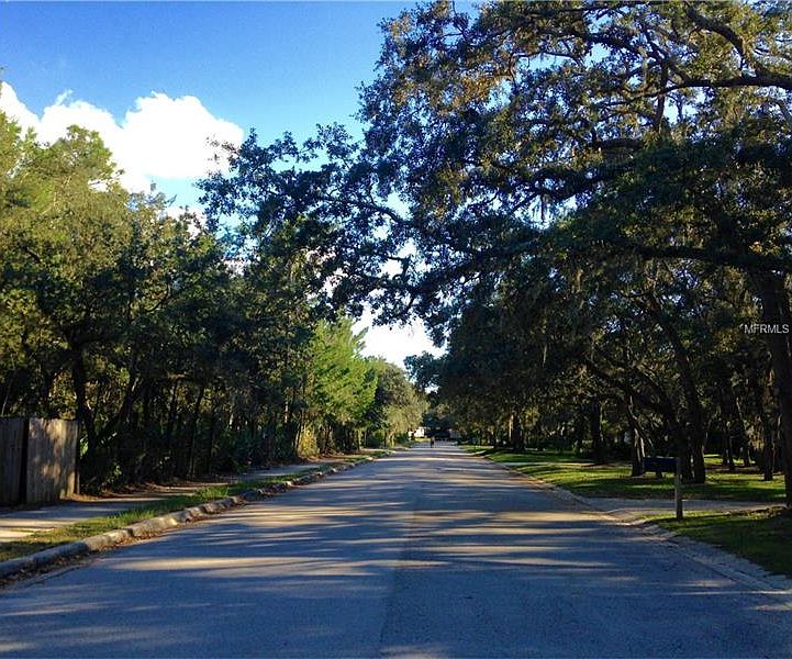 316 Raccoon Street,Lake Mary,FL,United States preview
