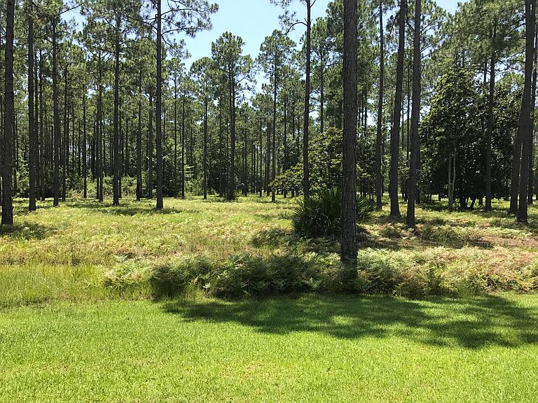 8556 Preservation Drive,Panama City Beach,FL,US preview