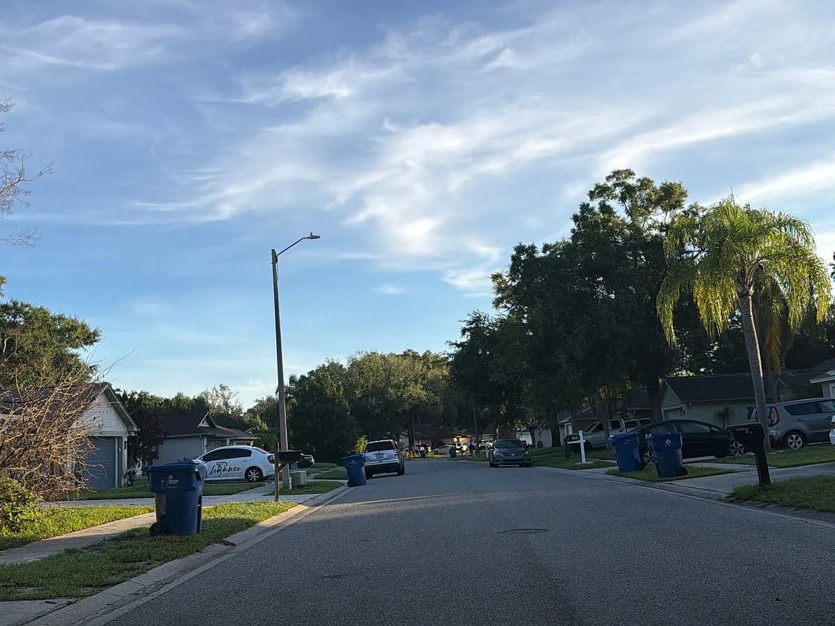1630 Spinning Wheel Drive,Lutz,FL,United States preview