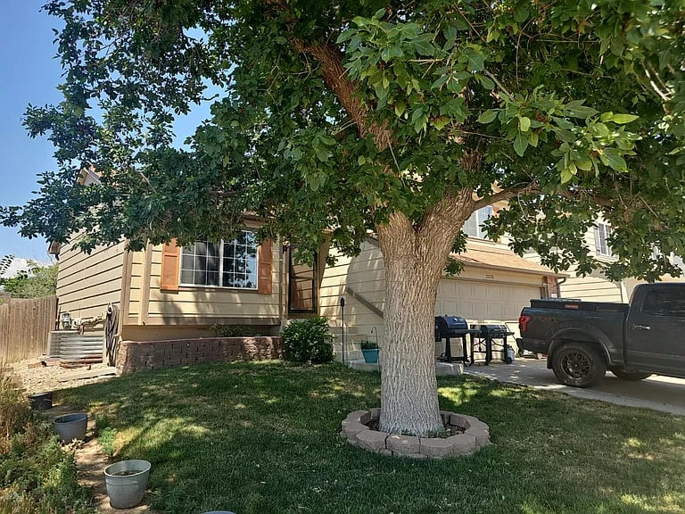 2132 Woodsong Way,Fountain,CO,United States preview
