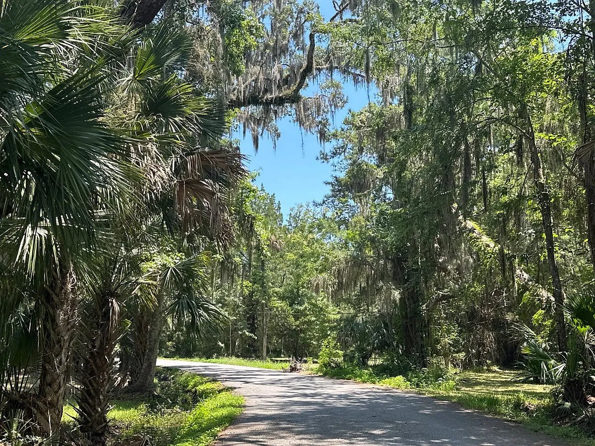 62 Cat Road,Ponte Vedra Beach,FL,United States preview