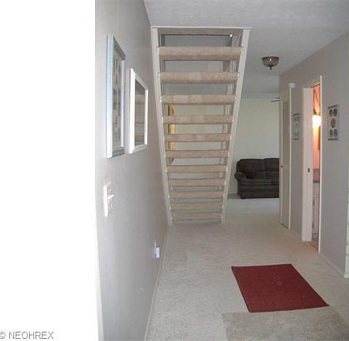 4153 Knight Lane,Brunswick,OH,United States preview