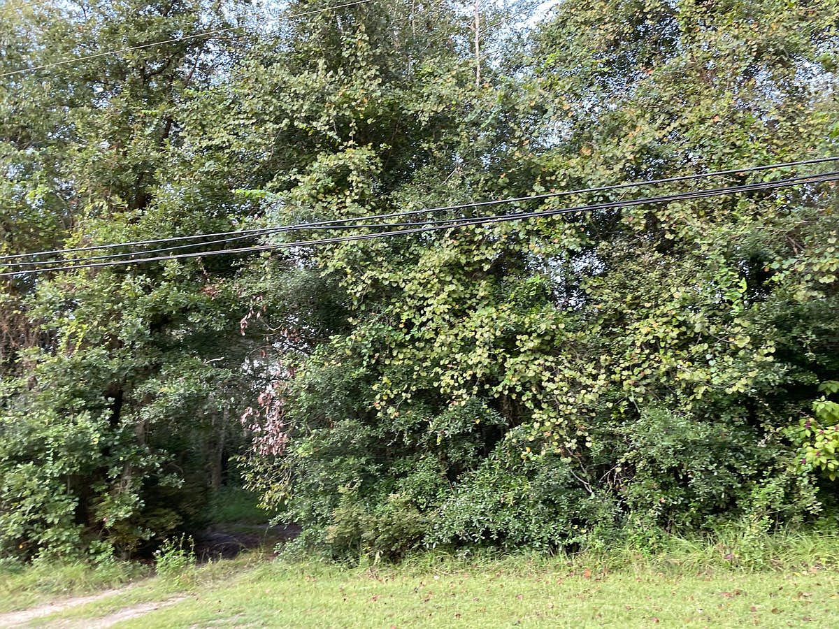 2462 Goldenrod Avenue,Middleburg,FL,United States preview