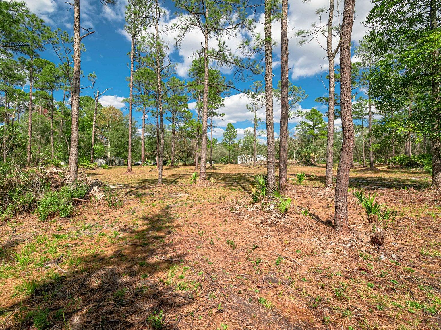 313 4th Street,Satsuma,FL,United States preview