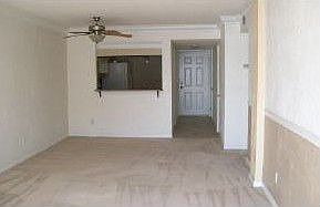 145 North Halifax Avenue,Daytona Beach,FL,United States preview
