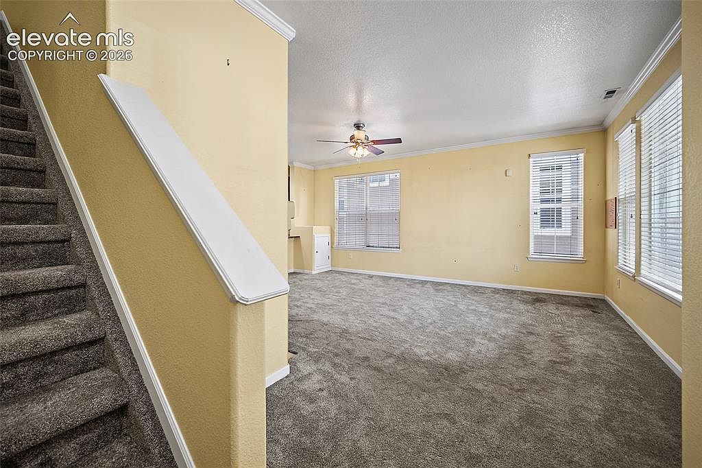 6585 Baytree Grove,Colorado Springs,CO,United States preview