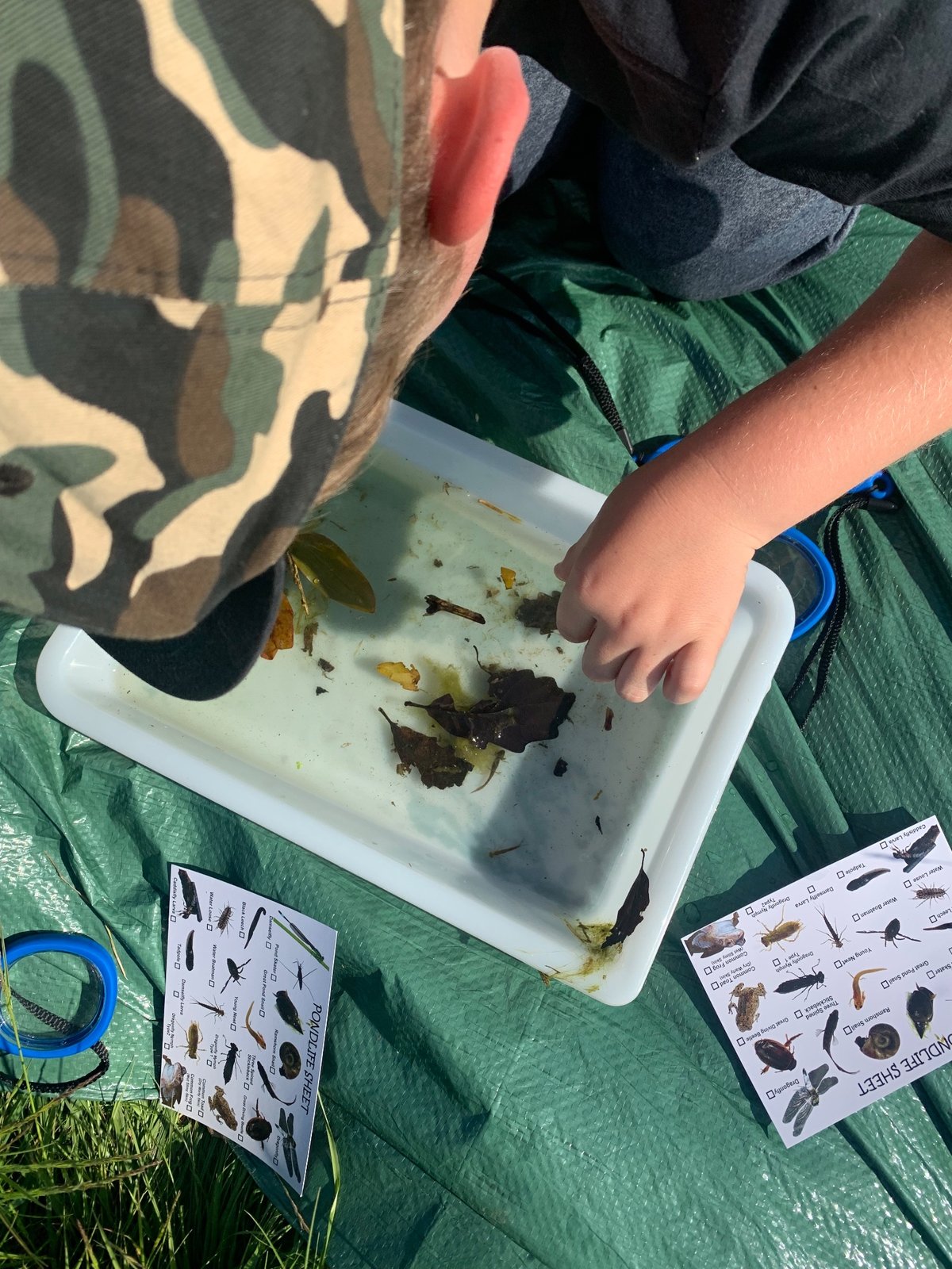 Wild Science - Pond Life & Bubbles — photo 2