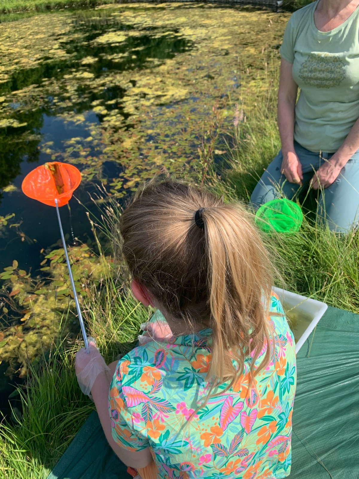Wild Science - Pond Life & Bubbles — photo 3