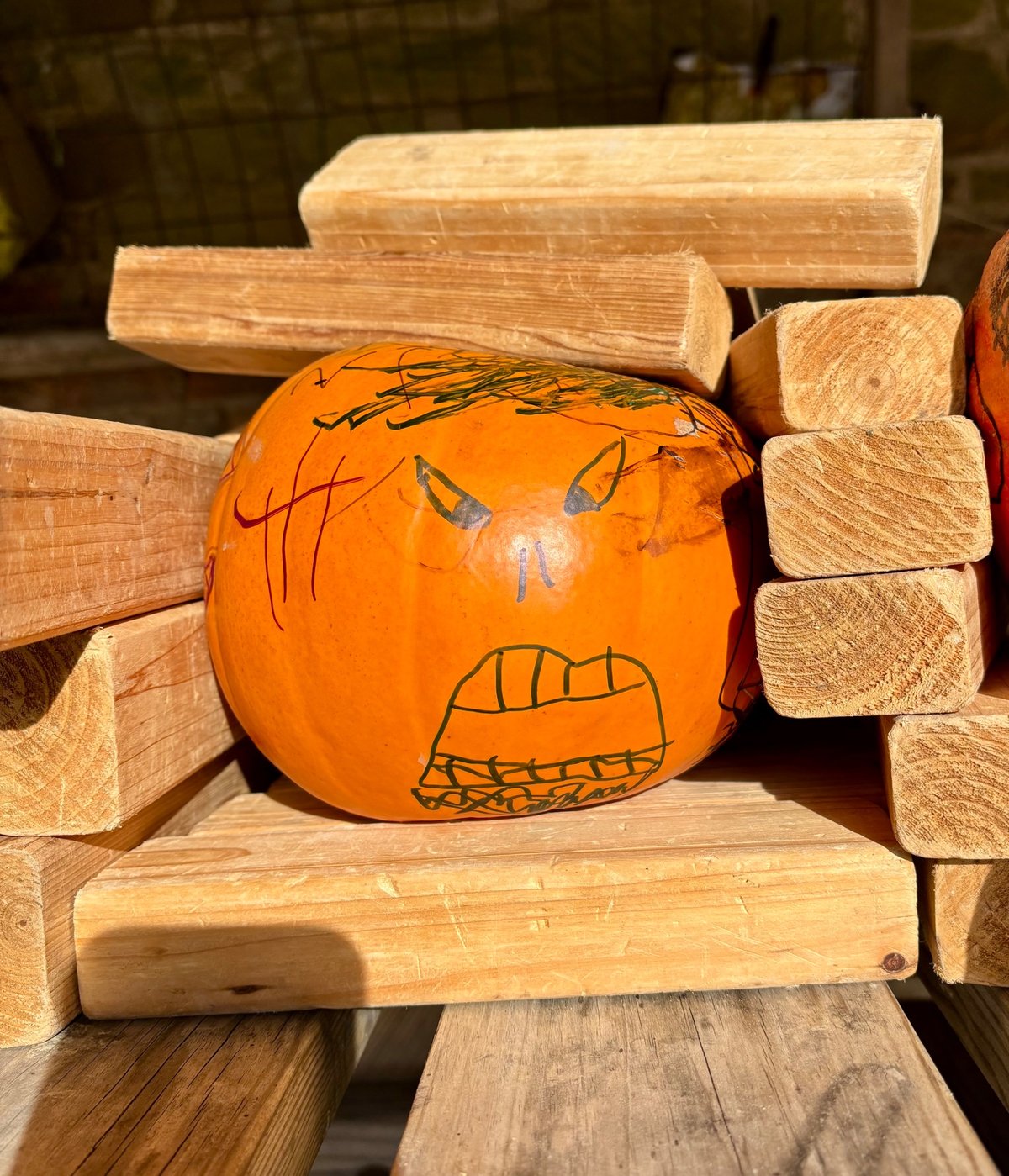 Trick-or-Treat Trek (5-11yrs) — photo 3