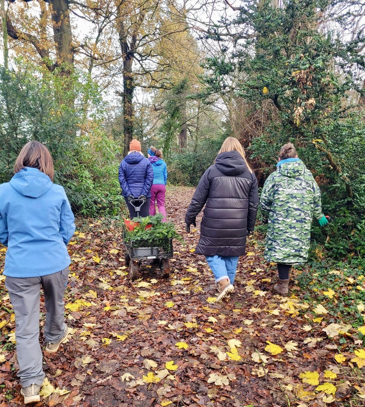 Winter Foraging & Wreath-Making  — photo 3