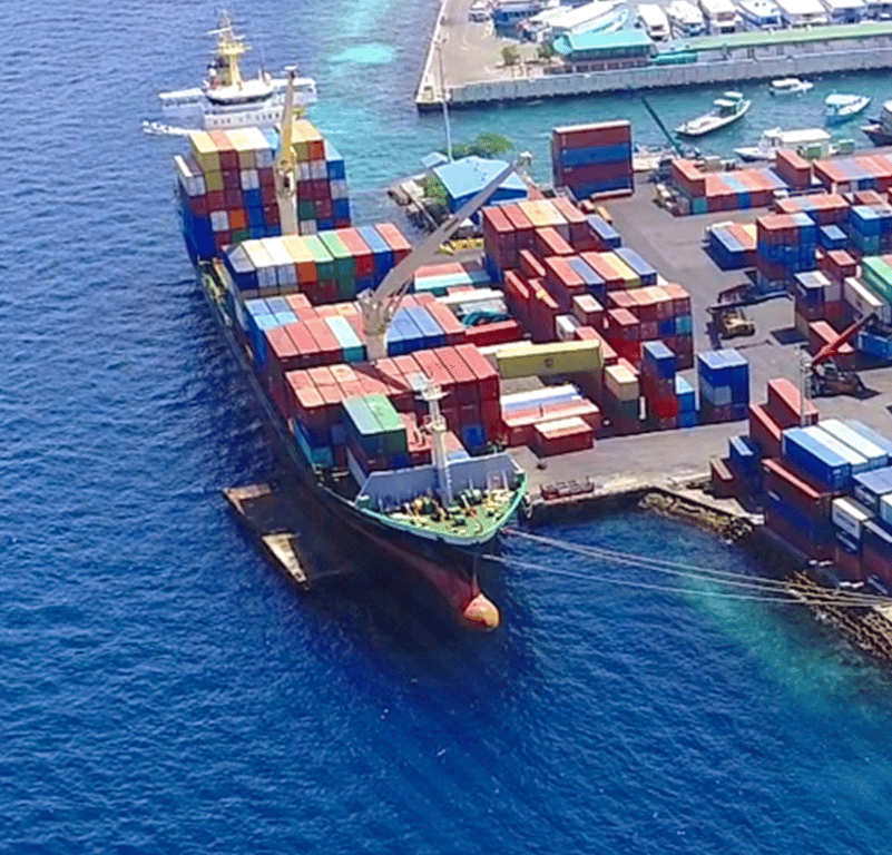 Cover image for MPL Transitions to ‘Tradian’ for Seamless Digital Trade Services