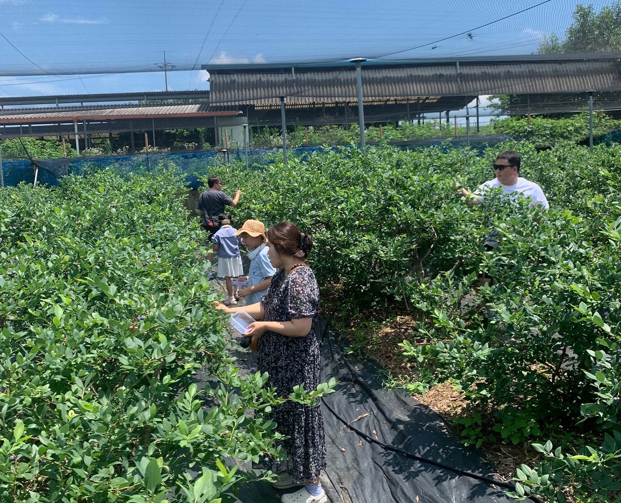 정책 기획 및 현장 조사