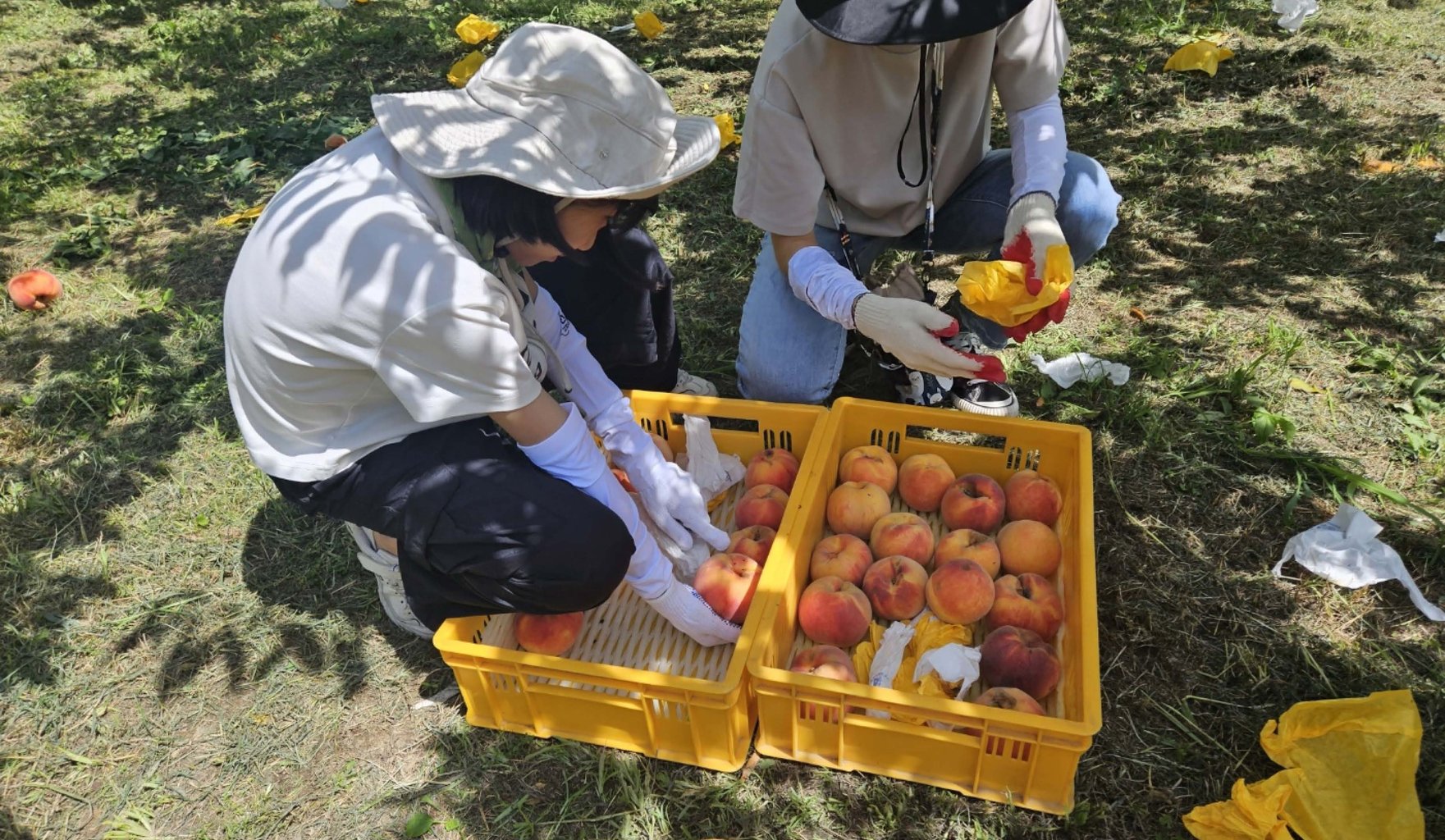 상주 먹거리 선순환