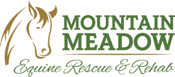 Mountain Meadow Equine Rescue & Rehab Center