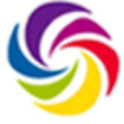 Danceflurry Organization Inc. Logo