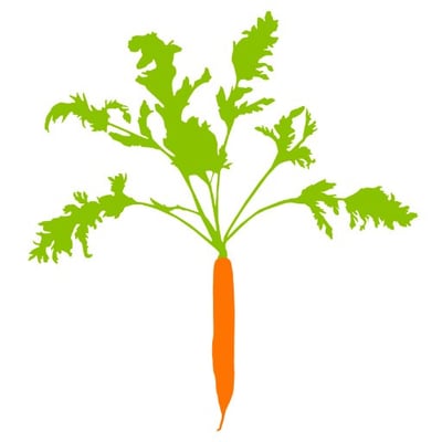 Stone Barns Restoration Corp