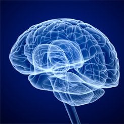 American Association of Neuropat