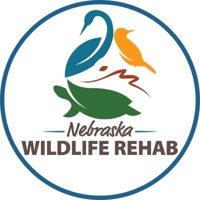 Nebraska Wildlife Rehab Inc.