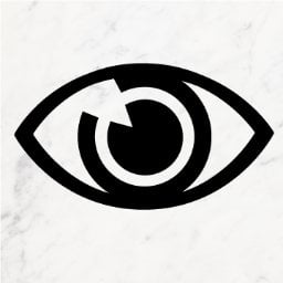 American Ophthlmological Society Ch Aritable Educationa & Scientific