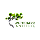 Whitebark Institute of Interdisciplinary Environmental Sc