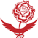 Dr Marnie Rose Foundation Inc. Logo