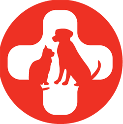Spca International Inc.
