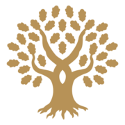 Up - Ipade Foundation Inc.