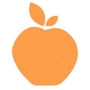 Wellness in the Schools Inc.