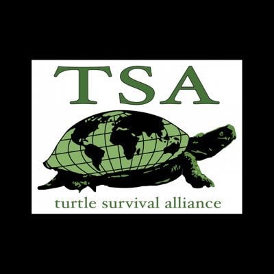 Turtle Survival Alliance