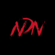 Ndn Collective Inc.