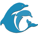 Dolphin Communication Project Inc.