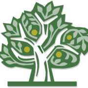 Akron - Barberton - Summit County Coc