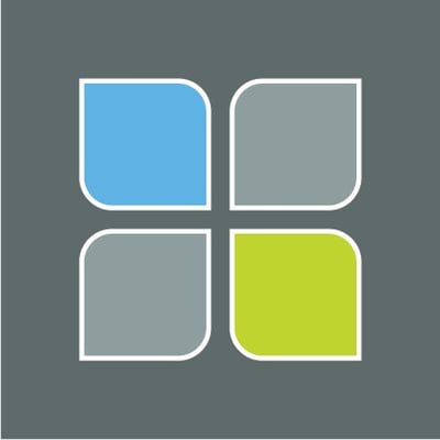 Chestnut Health Systems Inc.