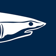 Atlantic Shark Institute Logo
