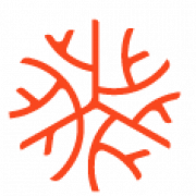 Global Nerve Foundation