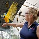 Florida Exotic Bird Sanctuary Inc. Logo