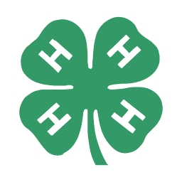 4-H Clubs & Affiliated 4-H Organizations